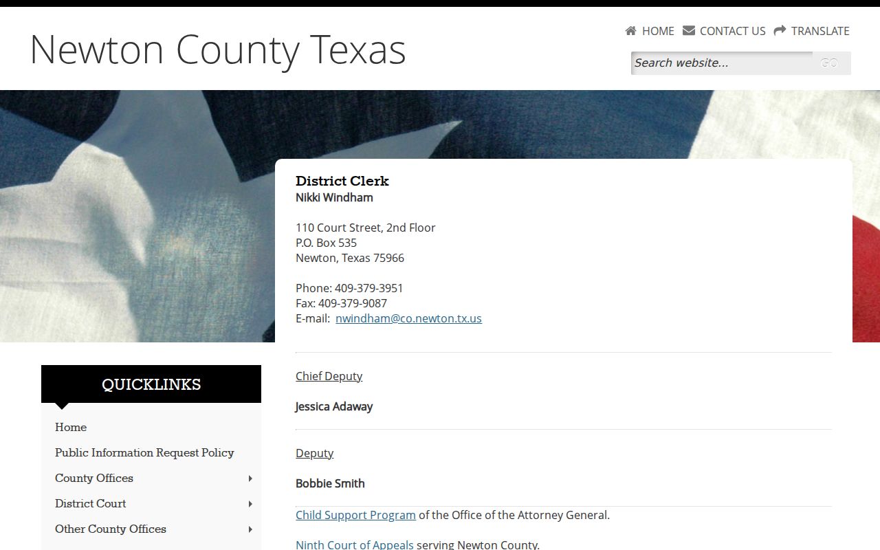 Newton County criminal case record counter on the District Clerk page